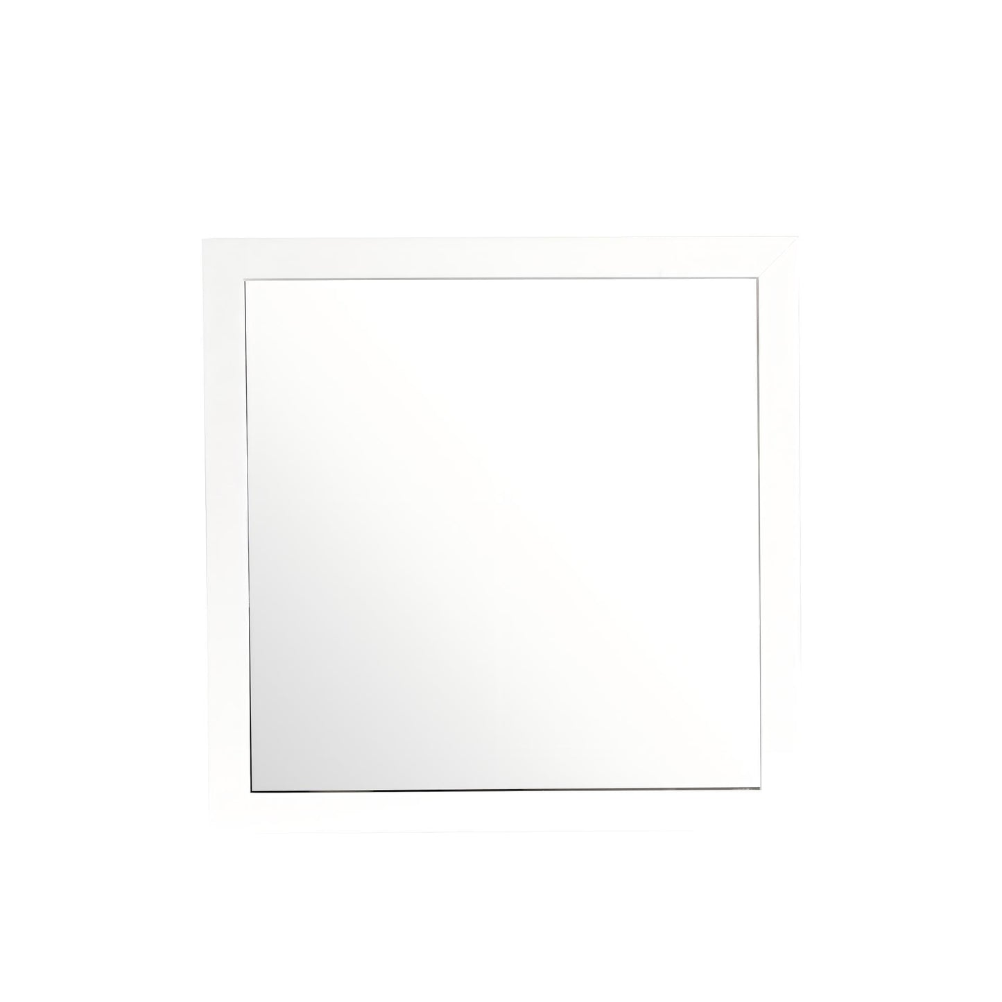Modern Design Transitional Wall Mirror