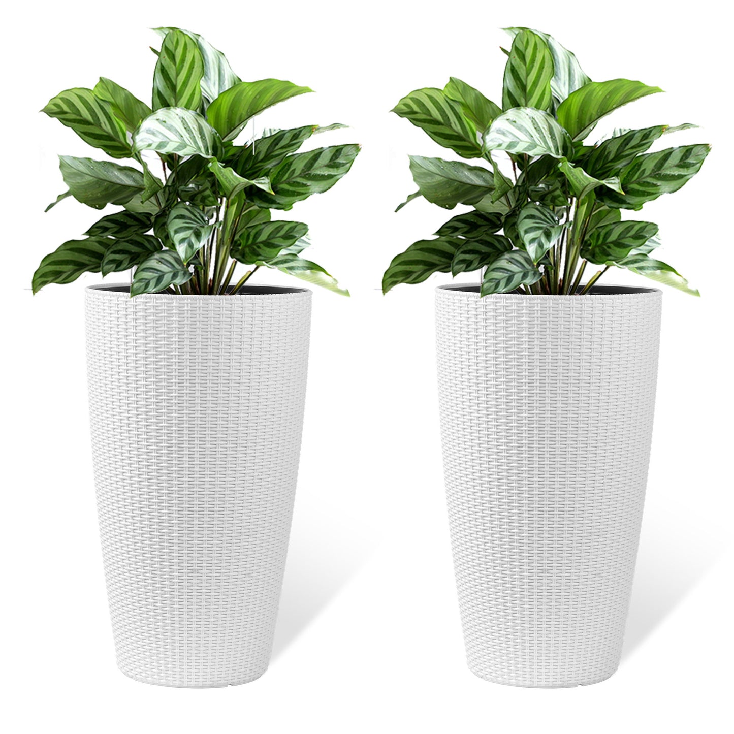 Tall Planters Set With Water Level Monitor And Auto Watering