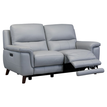 Lizette - Loveseat - Dark Brown / Dove Gray